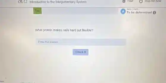 What protein makes nails hard but flexible?
square