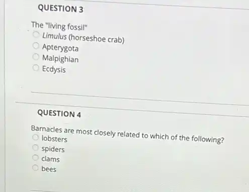 QUESTION 3
The "living fossil"
Limulus (horseshoe crab)
Apterygota
Malpighian
Ecdysis
QUESTION 4
Barnacles are most closely related to which of the following?
lobsters
spiders
clams
bees