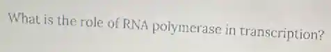 What is the role of RNA polymerase in transcription?