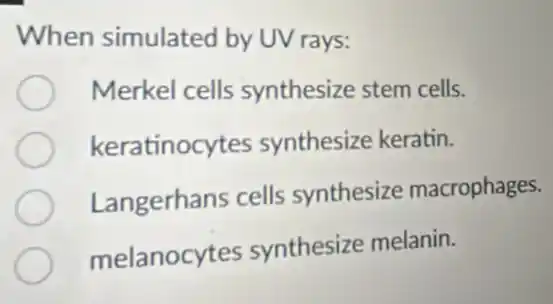 When simulated by UV rays:
Merkel cells synthesize stem cells.
keratinocytes synthesize keratin.
Langerhans cells synthesize macrophages.
melanocytes synthesize melanin.