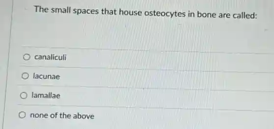 The small spaces that house osteocytes in bone are called:
canaliculi
lacunae
lamallae
none of the above
