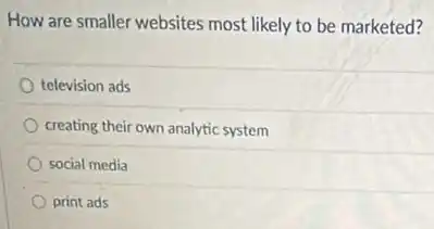 How are smaller websites most likely to be marketed?
television ads
creating their own analytic system
social media
print ads