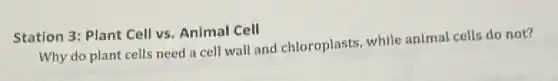 Station 3: Plant Cell vs. Animal Cell
Why do plant cells need a cell wall and chloroplasts, while animal cells do not?