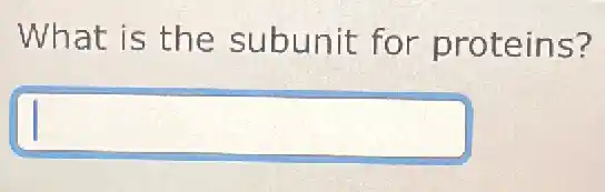 What is the subunit for proteins?
square