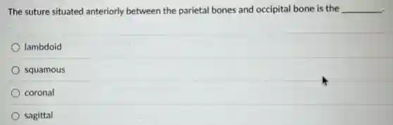 The suture situated anteriorly between the parietal bones and occipital bone is the __
lambdoid
squamous
coronal
sagittal