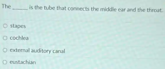 The __ is the tube that connects the middle ear and the throat.
stapes
cochlea
external auditory canal
eustachian