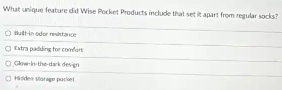 What unique feature did Wise Pocket Products include that set it apart from regular socks?
Built-in odor resistance
Extra padding for comfort
Glow-in-the-dark design
Hidden storage pocket