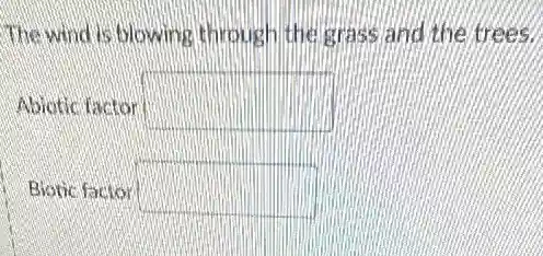 The wind is blowing through the grass and the trees.
Abiotic factor square
Biotic factor square