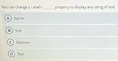 You can change a Label's __ property to display any string of text.
A Name
B Size
C Random
D Text