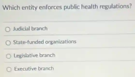 Which entity enforces public health regulations?
Judicial branch
State-funded organizations
Legislative branch
Executive branch
