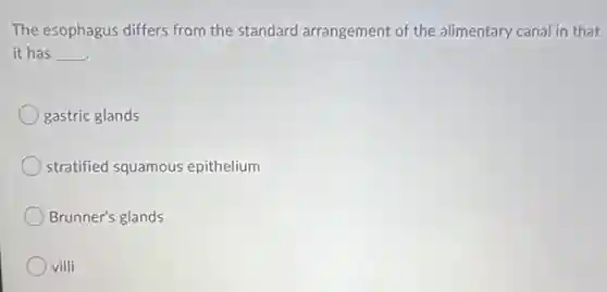 The esophagus differs from the standard arrangement of the alimentary canal in that
it has __
gastric glands
stratified squamous epithelium
Brunner's glands
villi