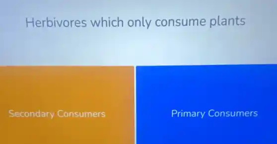 Herbivores which only consume plants
Secondary Consumers
Primary Consumers