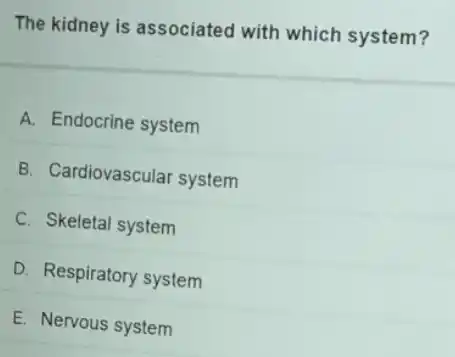 The kidney is associated with which system?
A. Endocrine system
B. Cardiovascular system
C. Skeletal system
D. Respiratory system
E. Nervous system