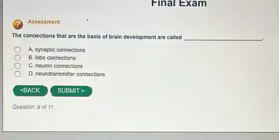 Assessment
Final Exam
The connections that are the basis of brain development are called __
A. synaptic connections
B. lobe connections
C. neuron connections
D. neurotransmitter connections
