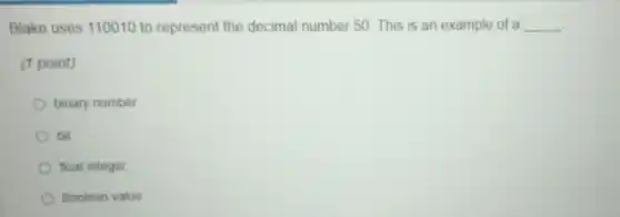 Blake uses 110010 to represent the decimal number 50. This is an example of a __
(1 point)
binary number
bit
float integer
Boolean value