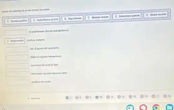 Match the cescription 10 me correct structure.
11. Dermal papillee
11 Sudoriferous glends
II Hypodermis
square 
found between dermis and epidermis
if Melanocytes produce melanin
square  site of bosal cell carcinoma
square  dilate to regulate temperature
square  numerous on scalp 8 face
square  also known as subcutanecus layer
square  produce dermcidin