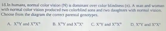18.In humans, normal color vision (N) is dominant over color blindness (n) A man and woman
with normal color vision produced two colorblind I sons and two daughters with normal vision.
Choose from the diagram the correct parental genotypes.
A. X^NY and X^NX^N
B. X^NY and X^NX^n
C. X^nY and X^NX^N
D. X^nY and X^nX^n
