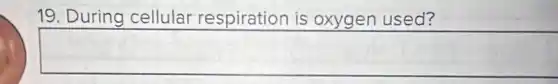 19. During cellular respiration is oxygen used?
square