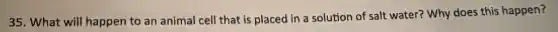 35. What will happen to an animal cell that is placed in a solution of salt water? Why does this happen?