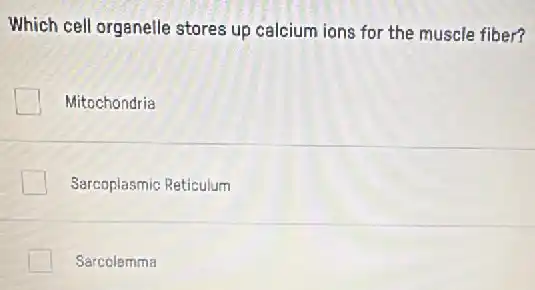 Which cell organelle stores up calcium ions for the muscle fiber?
Mitochondria
Sarcoplasmic Reticulum
Sarcolemma