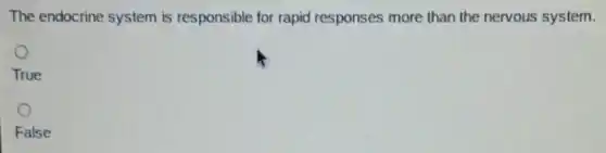 The endocrine system is responsible for rapid responses more than the nervous system.
True
False