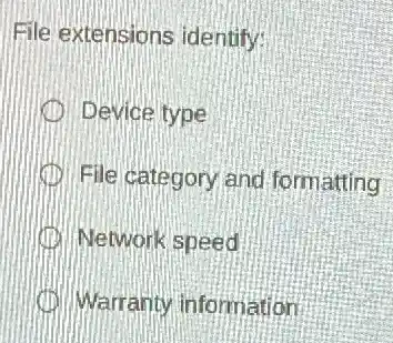 File extensions identify:
Device type
File category and formatting
Network speed
Warranty information