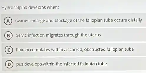 Hydrosalpinx develops when:
A ovaries enlarge and blockage of the fallopian tube occurs distally
B pelvic infection migrates through the uterus
C fluid accumulates within a scarred, obstructed fallopian tube
D pus develops within the infected fallopian tube