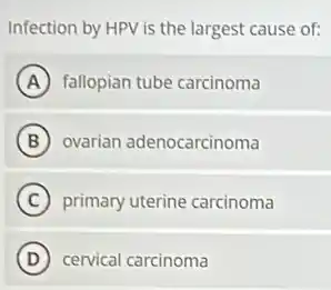Infection by HPV is the largest cause of:
A fallopian tube carcinoma
B ovarian adenocarcinoma
C primary uterine carcinoma
D cervical carcinoma