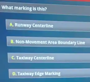 What marking is this?
A. Runway Centerline
B. Non-Movement Area Boundary Line
C. Taxiway Centerline
D. Taxiway Edge Marking