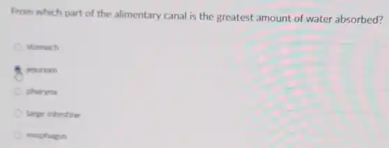 From which part of the alimentary canal is the greatest amount of water absorbed?
stomach
jejunum
pharynx
large intestine
esophagus