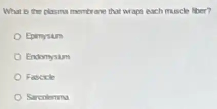 What is the plasma membrane that wraps each muscle fiber?
Epimysium
Endomysium
Fascicle
Sarcolemma