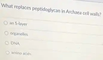 What replaces peptidoglycan in Archaea cell walls?
an S-layer
organelles
DNA
amino acids