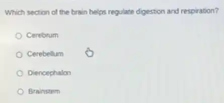 Which section of the brain helps regulate digestion and respiration?
Cerebrum
Cerebellum
Diencephalon
Brainstem