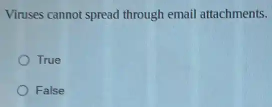 Viruses cannot spread through email attachments.
True
False