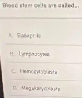Blood stem cells are called __
A. Basophils
B. Lymphocytes
C. Hemocytoblasts
D. Megakaryoblasts