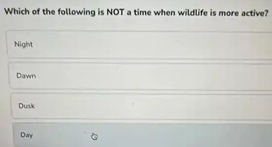 Which of the following is NOT a time when wildlife is more active?
Night
Dawn
Dusk
Day