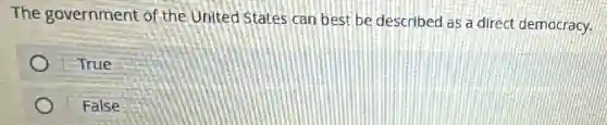 The government of the United States can best be described as a direct democracy.
True
False