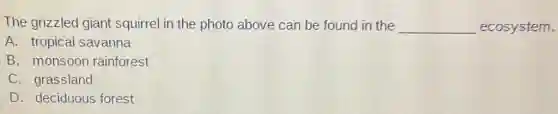The grizzled giant squirrel in the photo above can be found in the __ ecosystem.
A. tropical savanna
B. monsoor rainforest
C. grassland
D. deciduous forest