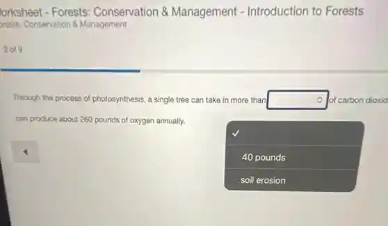 lorksheet - Forests:Conservation &Management - Introduction to Forests
prests: Conservation &Management
3 of 9
Through the pr process of photosynthesis, a single tree can take in more than square of carbon dioxid
can produce about 260 pounds of oxygen annually.
square
40 pounds
