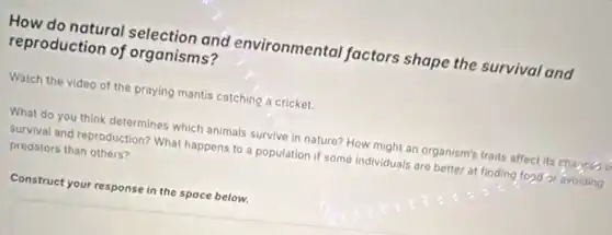 How do natural selection and environmental factors shape the survival and
reproduction of organisms?
Watch the video of the praying mantis catching a cricket.
What do you think determines which animals survive in nature? How might an organism's traits affect Its chaace.
survival and reproduction? What happens to a population if some individuals are better at finding ford'or avoiding
predators than others?
Construct your response in the space below.