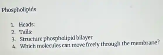 Phospholipids
1. Heads:
2. Tails:
3. Structure phospholipid bilayer
4. Which molecules can move freely through the membrane?