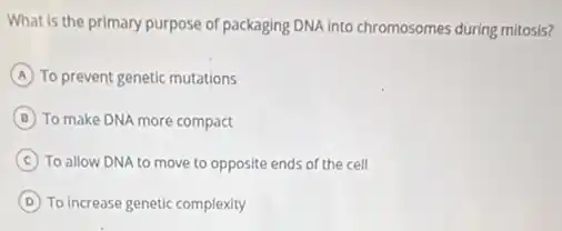 What is the primary purpose of packaging DNA into chromosomes during mitosis?
A To prevent genetic mutations
B To make DNA more compact
C To allow DNA to move to opposite ends of the cell
D To increase genetic complexity
