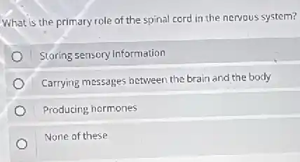 What is the primary role of the spinal cord in the nervous system?
Storing sensory information
Carrying messages between the brain and the body
Producing hormones
None of these