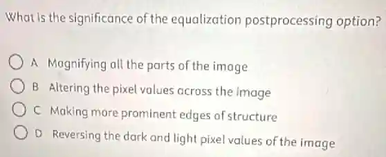 What is the significance of the equalization postprocessing option?
A Magnifying all the parts of the image
B Altering the pixel values across the image
C Making more prominent edges of structure
D Reversing the dark and light pixel values of the image