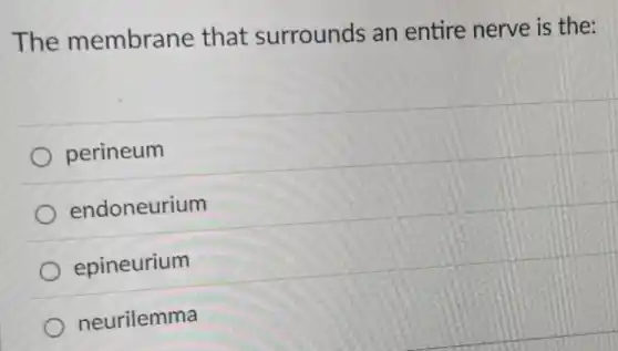 The membrane that surrounds an entire nerve is the:
perineum
endoneurium
epineurium
neurilemma