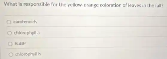 What is responsible for the yellow-orange coloration of leaves in the fall?
carotenoids
chlorophyll a
RuBP
chlorophyll b