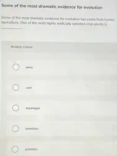 Some of the most dramatic evidence for evolution
Some of the most dramatic evidence for evolution has come from human
agriculture. One of the most highly artificially selected crop plants is
__
Multiple Choice
peas
corn
asparagus
tomatoes
potatoes