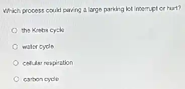 Which process could paving a large parking lot interrupt or hurt?
the Krebs cycle
water cycle
cellular respiration
carbon cycle