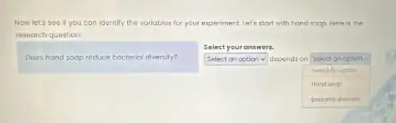 Now let's see if you can identify the variables for your experiment Let's start with hand soap. Here is the
research question:
Does hand soop reduce bacteriol diversity?
square depends on
square
Select an option
Selection option
Hand soop